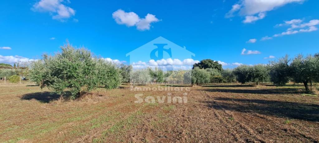 Terreno Agricolo in vendita a Lanuvio, 9999 locali, prezzo € 30.000 | PortaleAgenzieImmobiliari.it