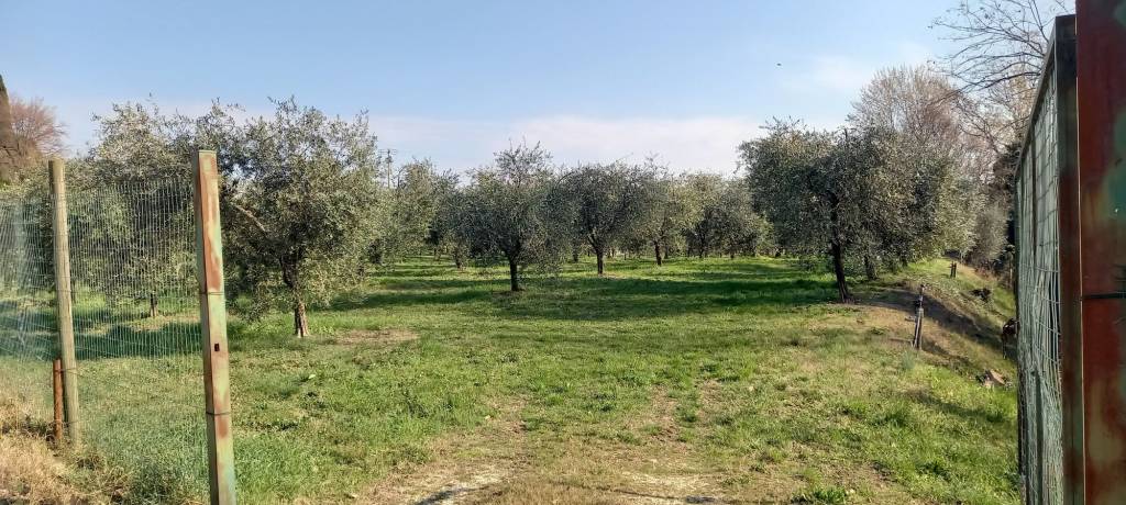 Terreno Agricolo in Vendita a Desenzano del Garda