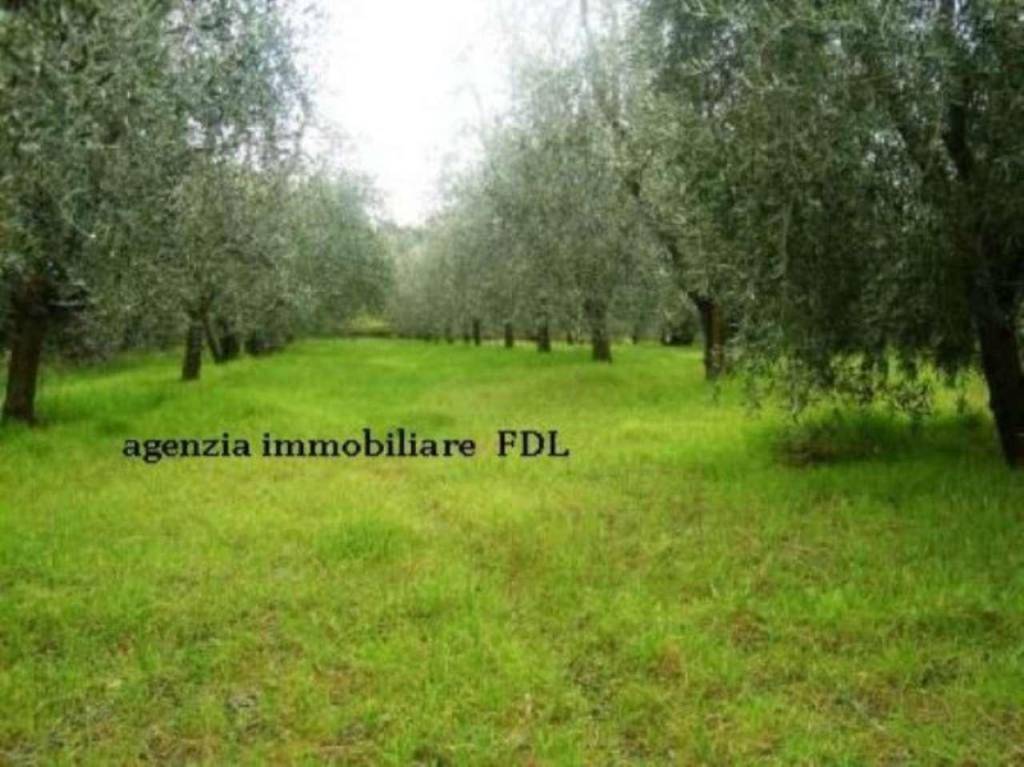 Terreno Agricolo in vendita a Montopoli in Val d'Arno, 9999 locali, Trattative riservate | PortaleAgenzieImmobiliari.it