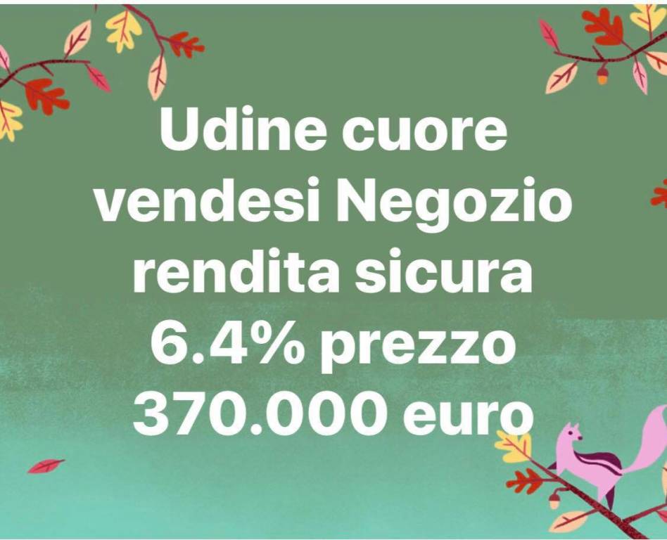 Negozio / Locale in vendita a Udine, 2 locali, prezzo € 370.000 | CambioCasa.it