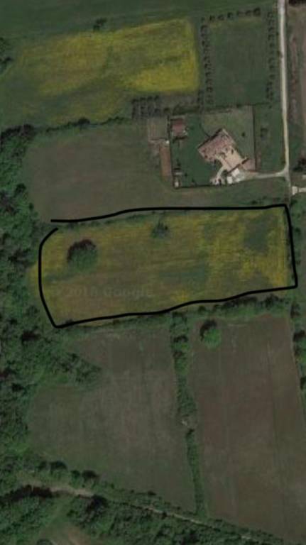 Terreno Agricolo in vendita a Bracciano, 9999 locali, prezzo € 35.000 | PortaleAgenzieImmobiliari.it