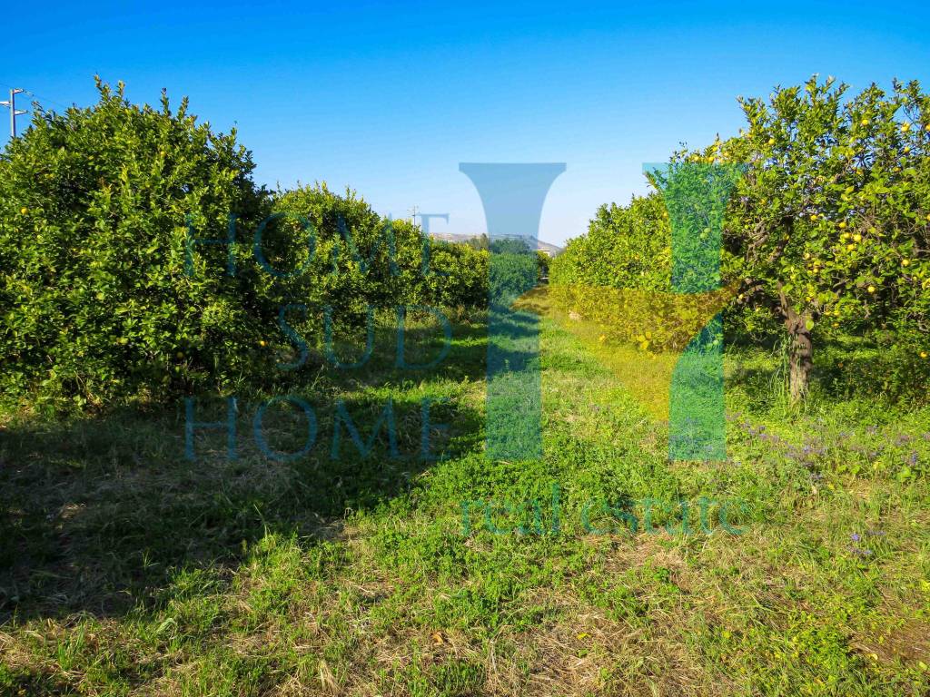 Terreno Agricolo in vendita a Noto, 9999 locali, prezzo € 92.000 | CambioCasa.it