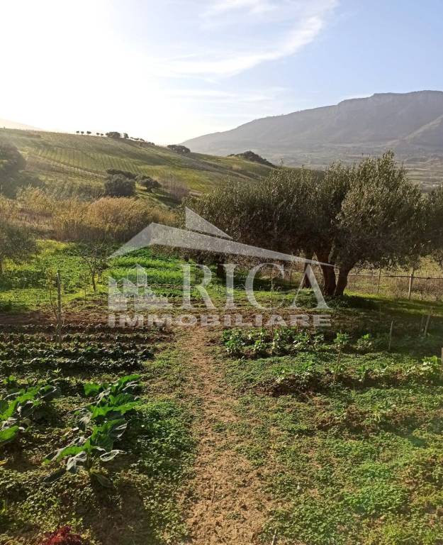 Terreno Agricolo in vendita a Alcamo, 9999 locali, prezzo € 17.000 | PortaleAgenzieImmobiliari.it