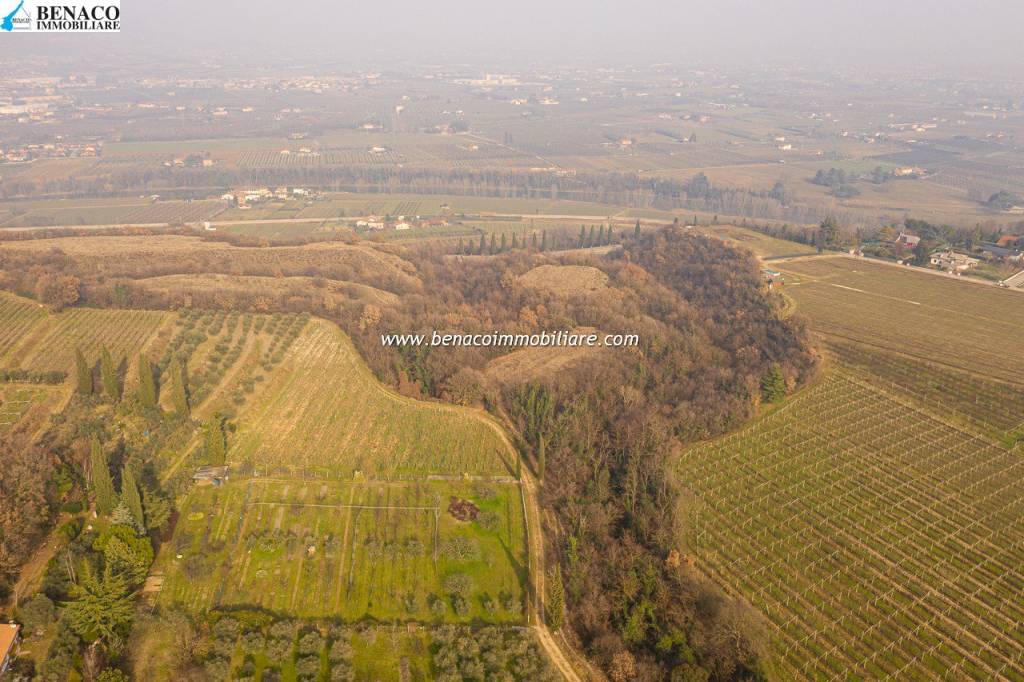 Terreno Agricolo in vendita a Bussolengo, 9999 locali, Trattative riservate | PortaleAgenzieImmobiliari.it