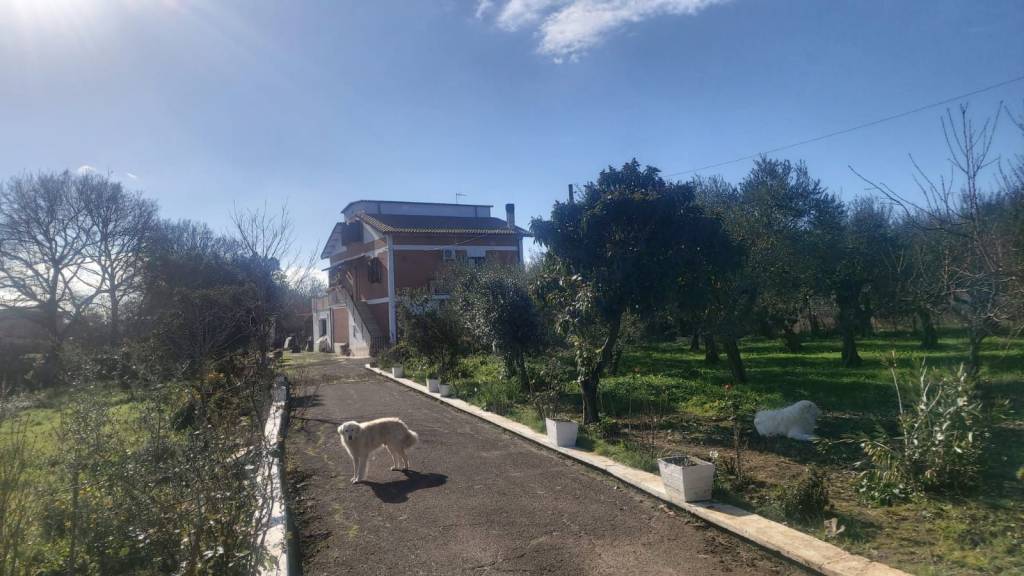 Villa in vendita a Lanuvio, 7 locali, prezzo € 199.000 | CambioCasa.it