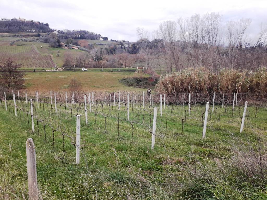 Terreno Agricolo in vendita a Villamagna, 9999 locali, prezzo € 40.000 | CambioCasa.it