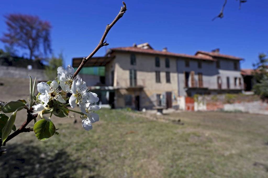 Rustico / Casale in vendita a Montechiaro d'Asti, 1 locali, prezzo € 128.000 | CambioCasa.it