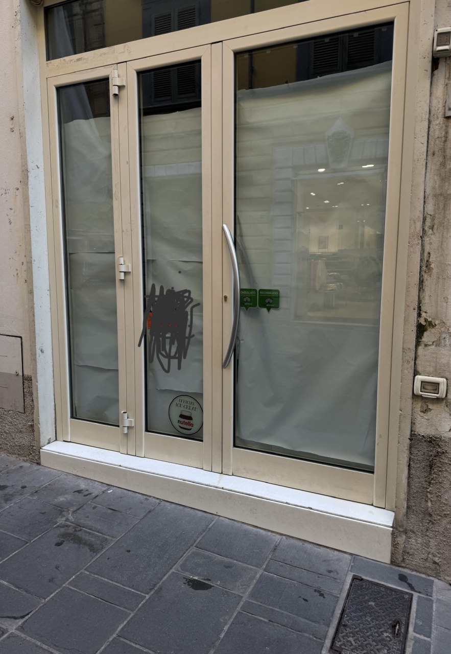 Capannone in affitto a Pietrasanta, 1 locali, prezzo € 1.400 | PortaleAgenzieImmobiliari.it