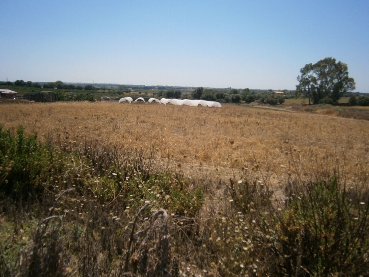 Terreno Agricolo in Vendita a Siracusa