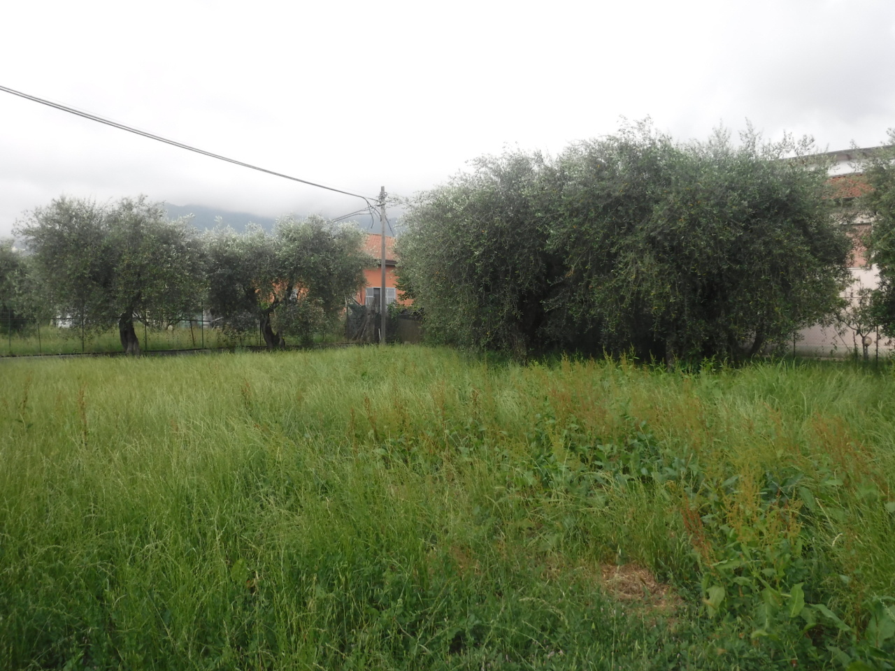 Terreno Agricolo in Vendita a Castelnuovo Magra