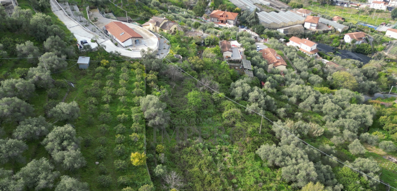 Terreno Agricolo in vendita a San Biagio della Cima, 1 locali, prezzo € 49.000 | PortaleAgenzieImmobiliari.it
