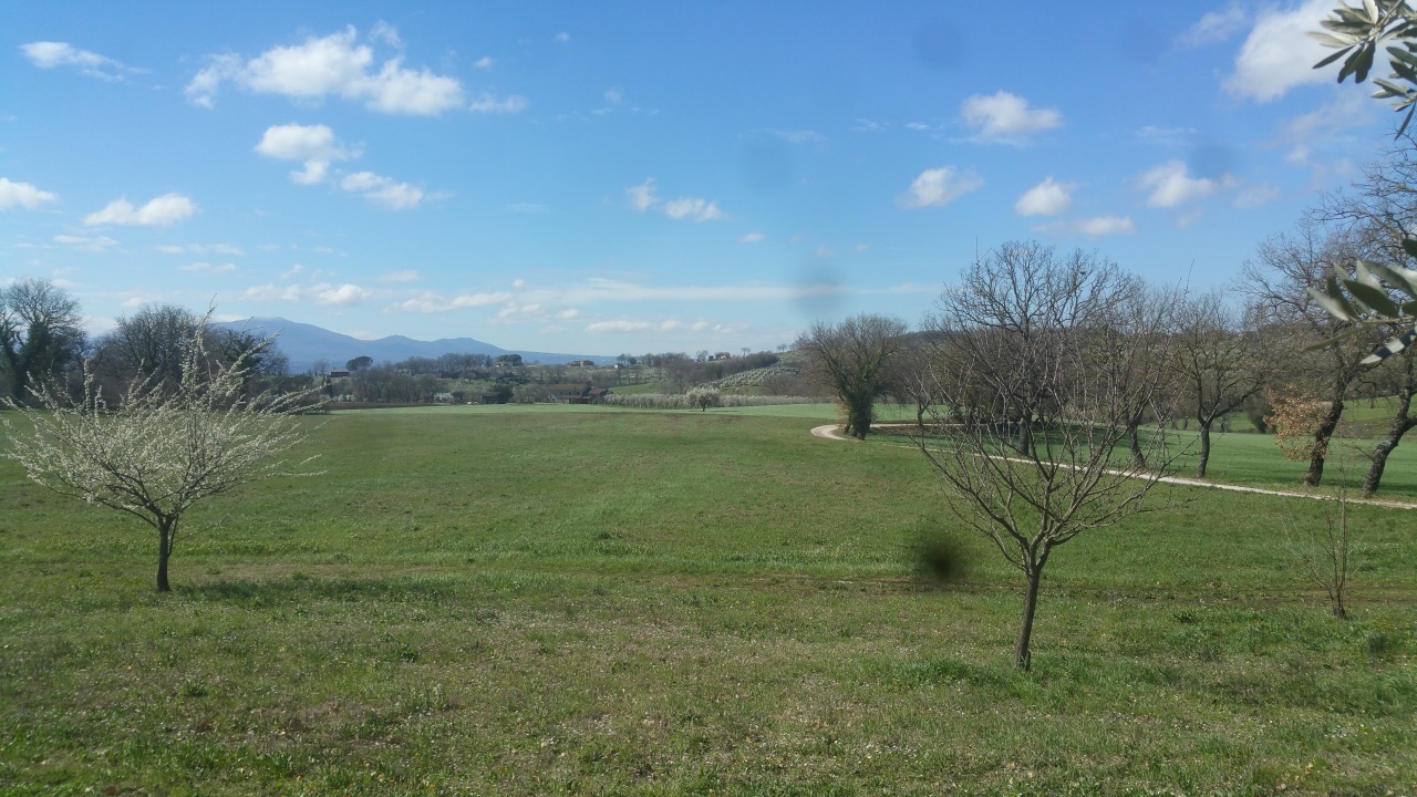 Terreno Agricolo in Vendita a Lugnano in Teverina