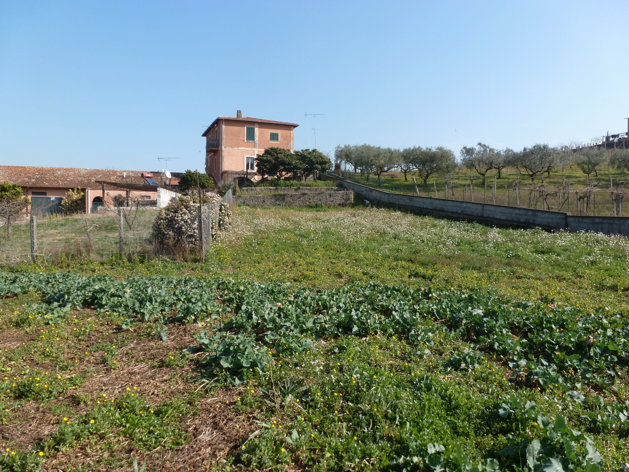 Terreno Agricolo in vendita a Frascati, 1 locali, prezzo € 38.000 | PortaleAgenzieImmobiliari.it