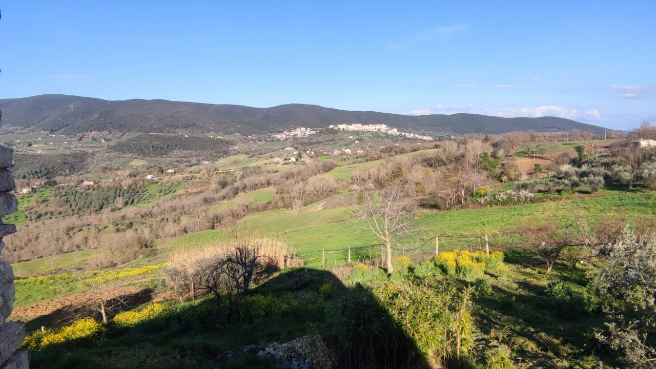 Terreno Agricolo in Vendita a Lugnano in Teverina
