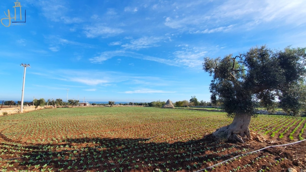 Terreno Agricolo in vendita a Polignano a Mare, 9999 locali, prezzo € 30.000 | PortaleAgenzieImmobiliari.it