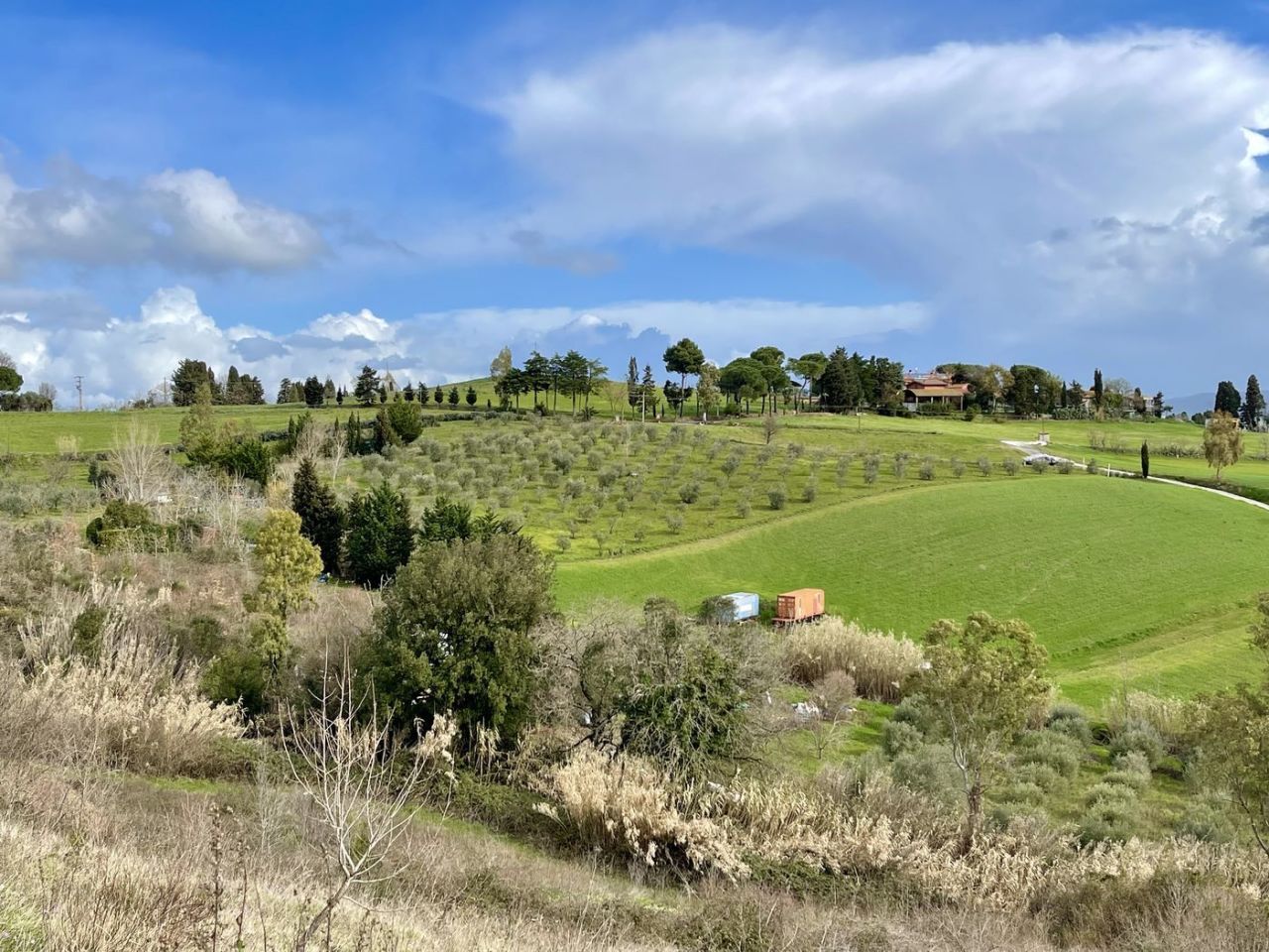 Terreno Agricolo in vendita a Rosignano Marittimo