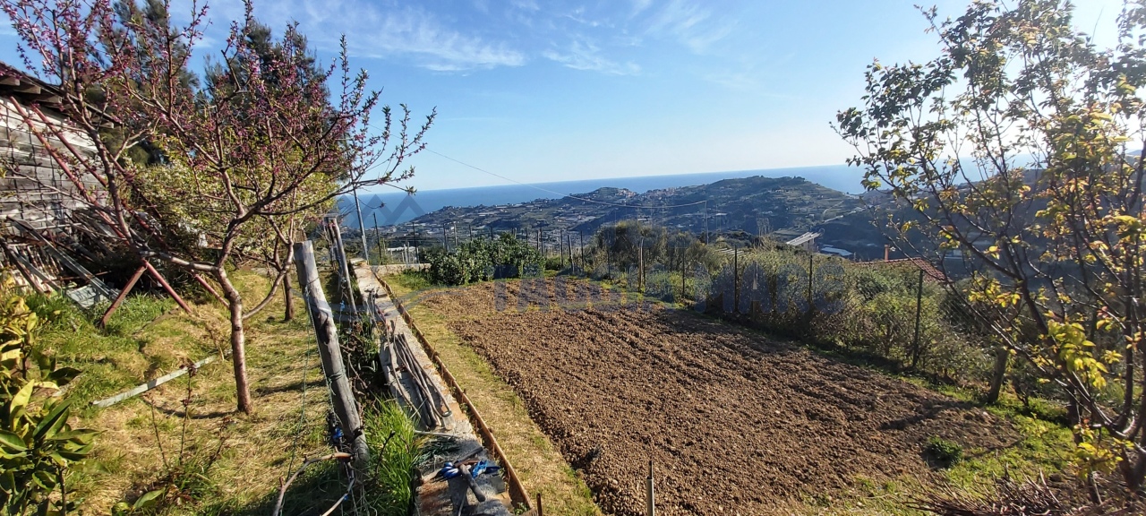 Terreno Agricolo in vendita a Taggia, 1 locali, prezzo € 49.000 | CambioCasa.it