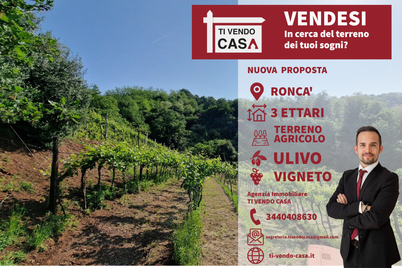 Terreno Agricolo in vendita a Roncà, 1 locali, prezzo € 90.000 | PortaleAgenzieImmobiliari.it