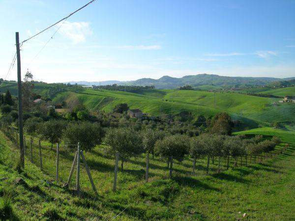 Terreno Agricolo in vendita a Caltanissetta, 9999 locali, prezzo € 20.000 | CambioCasa.it
