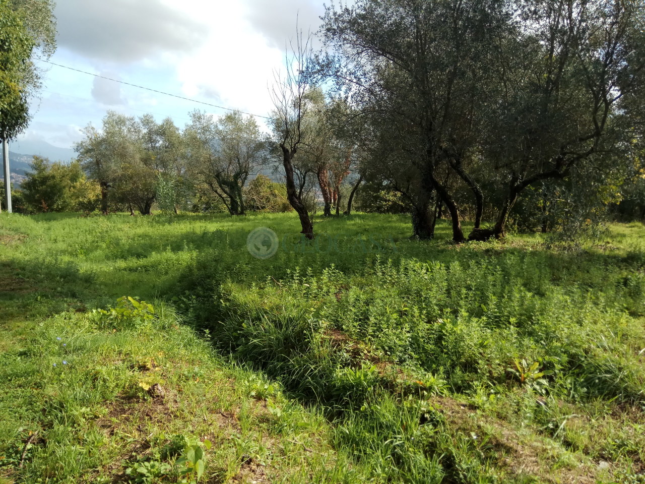 Terreno Agricolo in vendita a Vezzano Ligure, 9999 locali, prezzo € 26.000 | PortaleAgenzieImmobiliari.it