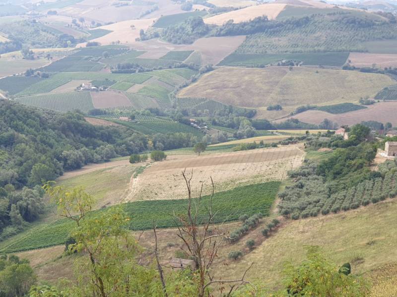 Terreno Agricolo in vendita a Carassai, 1 locali, prezzo € 160.000 | PortaleAgenzieImmobiliari.it